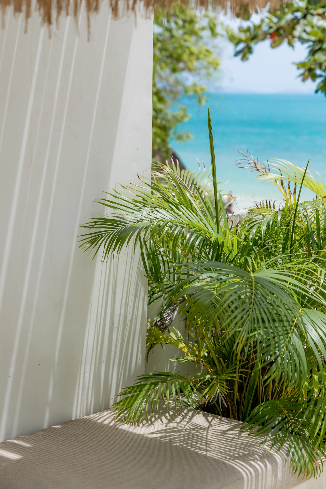 Life at Cape Beach Villa — a boutique villa stay by a calm beach in Koh Samui